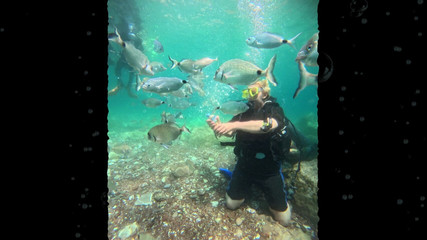 JessieHH: Potápění v Turkiye! Bezplatně