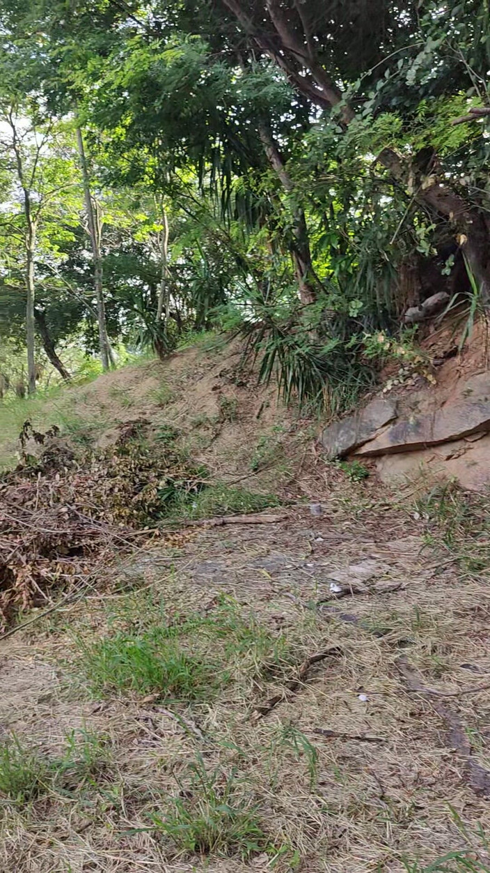 Lily Slav: Ходити на прогулянку в лісі, як цуценя