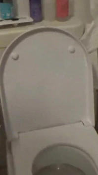 The Toilet Gang