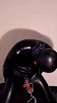 Gumowe udręka slave electro
