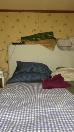 PlayfulRose1: 新しいおもちゃ