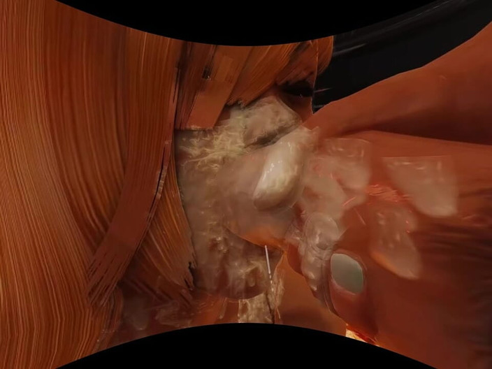 Games looper Sex VR Mode: Zábava VR 140