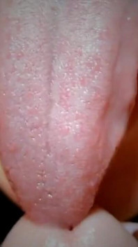 Lick the Foreskin
