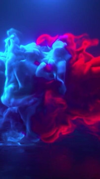 Dakota James Married a Real Bitch Cuckold