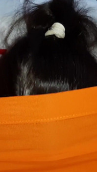 My Girlfriends Take Turns Cumming in My Mouth