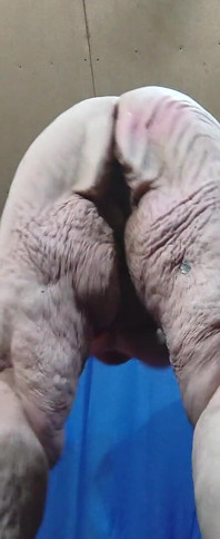 あの秘所にかがみ込み、大きく開いて立ち上がって、まるで男がヘリコプターでチンコを飛ばすかのように噴き出している
