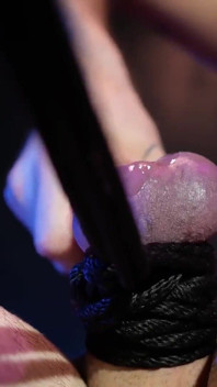 Ball Busting CBT Part Ii by Bearded Master