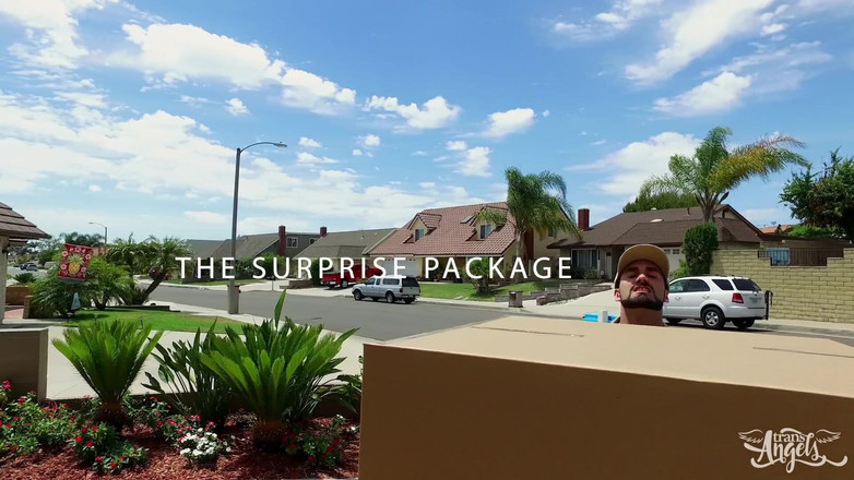 Trans Angels: Transangels - the Surprise Package - Jaxton Wheeler, Kayleigh Coxx