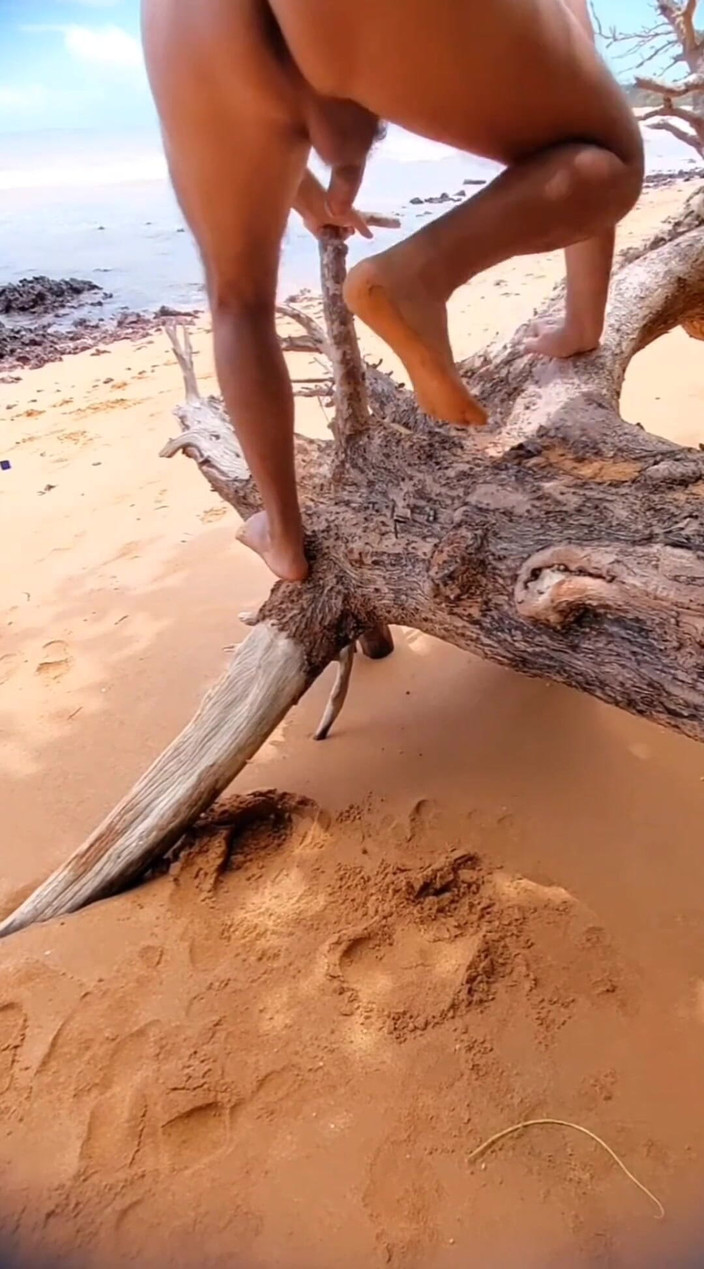 Ladysilvas: Ladysilva