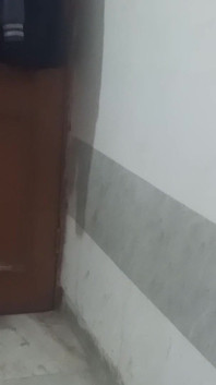 Penis Enjoyment with Hands During Masturbation