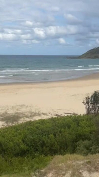 Beach Cock Flash