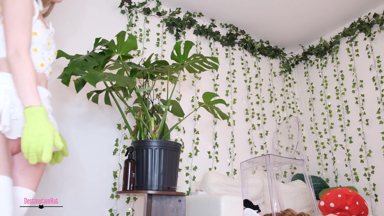 Destination Kat: Curățarea frunzelor de plante