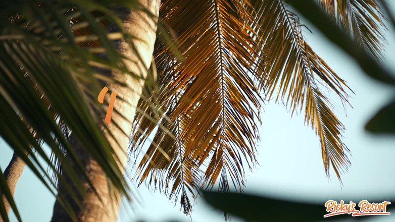 Ricky's Resort: Air schläger episode