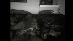 Pharoah Zeus: BBC anál a kundička sexuální hračka