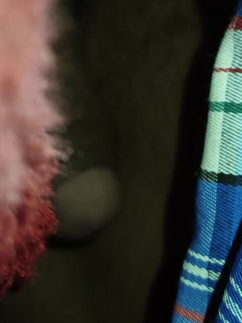 Jayramj764: Il ragazzo dentro il letto