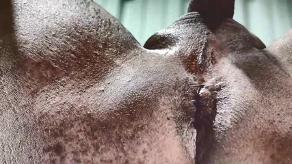 There is no safeword: Strap on Stories - Daily Pegging Day 112- First U Get Pussy...
