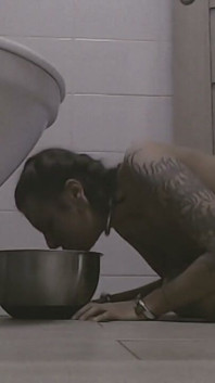 The Pavlovian Bowl. De-humanized Feeding