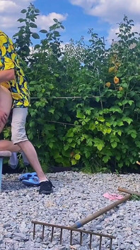 Um Casal De Verdade Teve Uma Pelea No Jardim Entre Os Arbustos