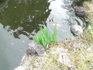 MBM3988: M607g05 Útok na 56letou zralou ženu žijící ve velkém starém soukromém domě v Nakazu!