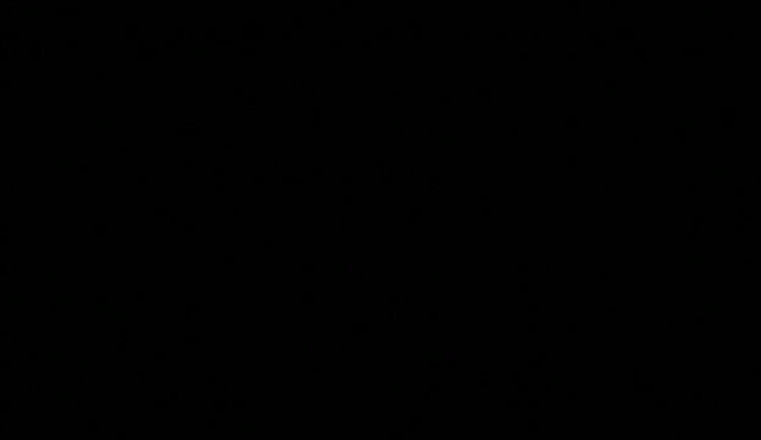 XTime Vod: Big black cock in hairy pussy