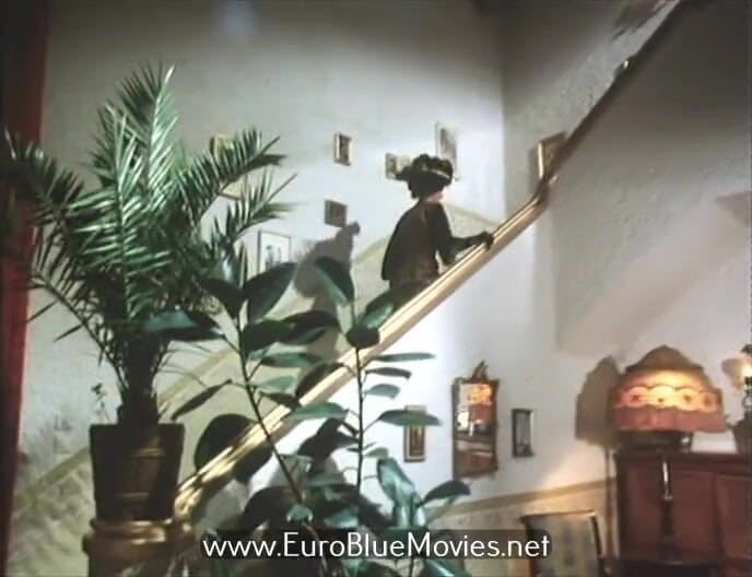 Euro Blue Movies: Das Haus Der Geheimen Luste (1979)