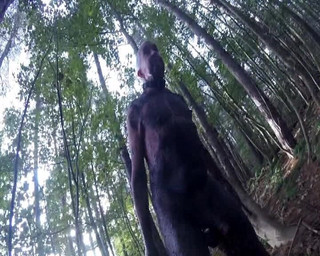 Andy: Deel 2 Vies Ib het bos