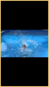 Wifey Wet Shirt in the Pool with Perfect Braless Tits