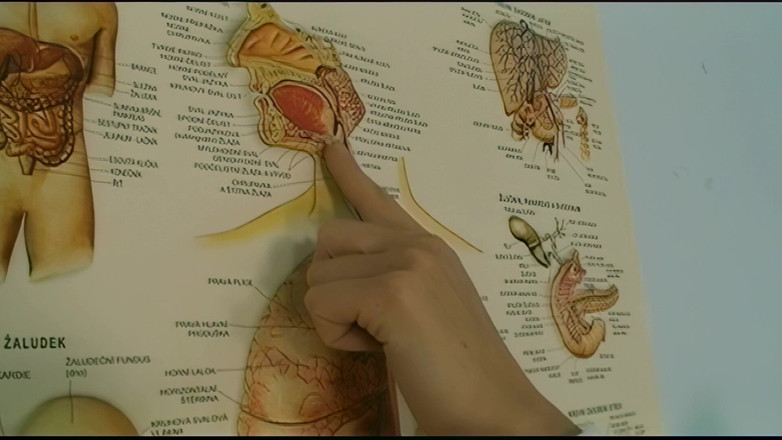 Deutschland Porno X: Compilación, en el consultorio del doctor es follada