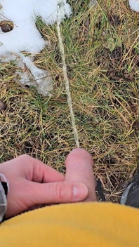 A Bit Risky Peeing - POV Outdoor Male Pee During a Nature Walk