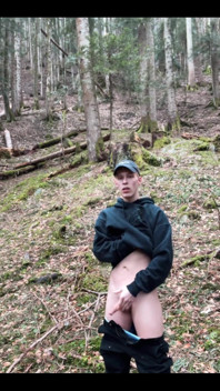 In the Forest