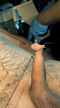 Artful study w igłach i stali