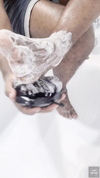 Sapone le mie suole con uno scrubber in doccia (2025)