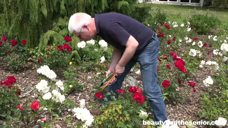 Granddadz: Lolly Gartner &amp; Mike Ock. Fuck that old pervert outside