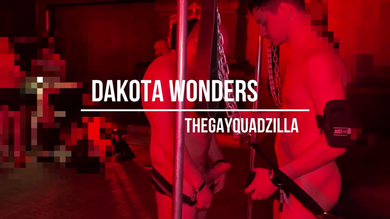 The Gay Quadzilla: Bear Cruises the Dark Rooms