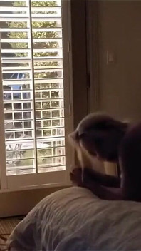 O curvă tânără sexy futută tare în Motel cu ușa deschisă!