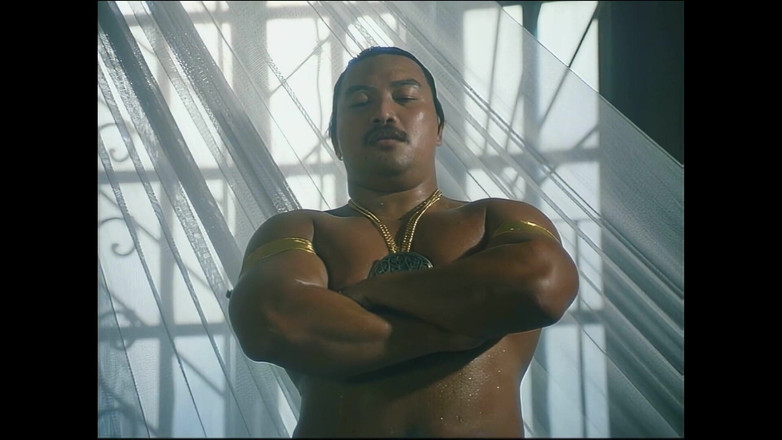 MMV Films: Aladin a zázračný ocas