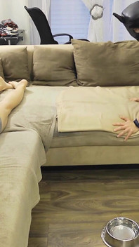 Petplay with Tranny Mean Girl! Stupid Pet Is Only Allowed to Hump the Couch!