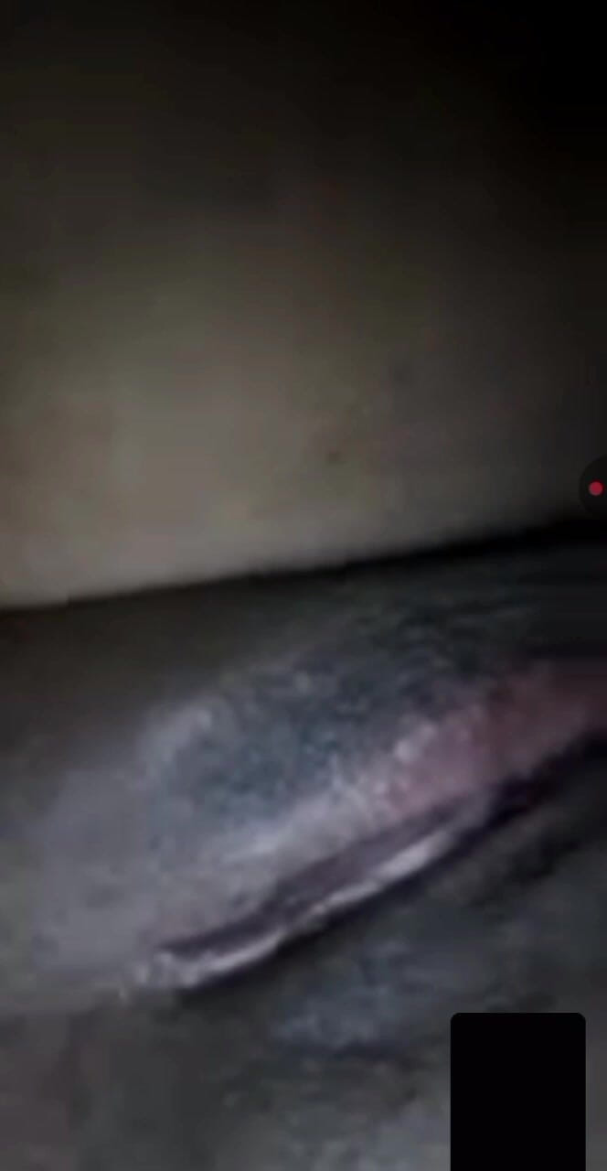 Asim xsim: Pathan mädchen fingert muschi und leckt virales video teil 1