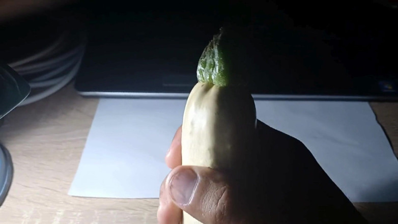 AlexCat: Zucchine caldi