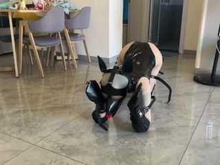 OrangeXXOO: Treinando e insultando minha namorada sexy 10