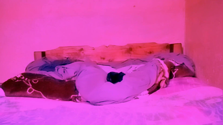 Soloboyy: Neon Light Humping Session