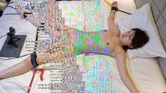 Studio Modern Shunga - JAV: アジアンエンジェル 16775