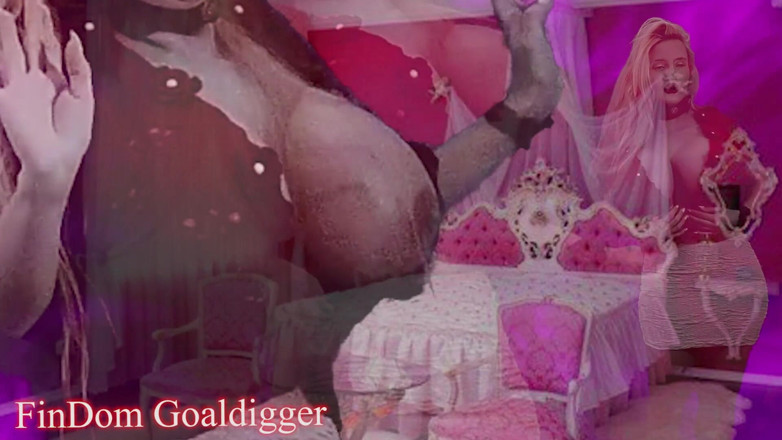 FinDom Goaldigger: Den verkliga horatransformationen