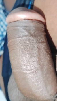 Penis
