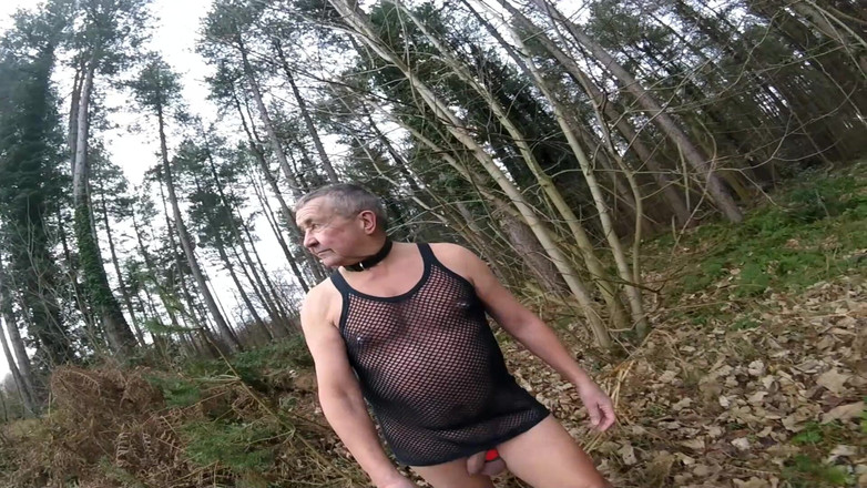 Andy: Đi bộ lần thứ hai 2025