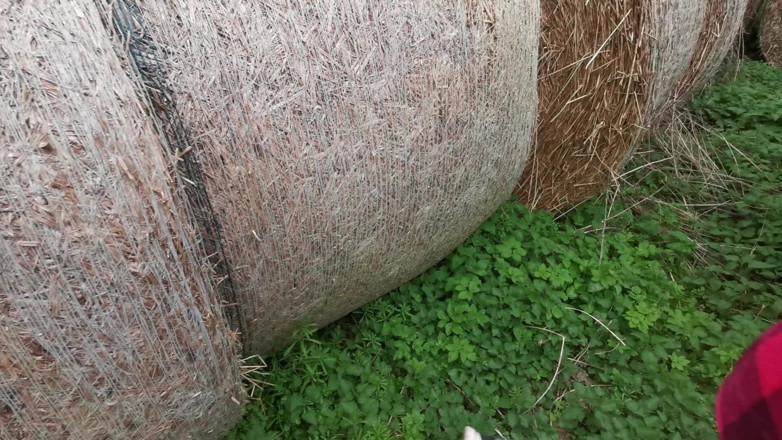 Bouncy Tits Action: Vinkla hennes bröst