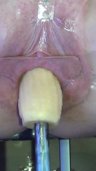 Păsărică deschisă cu penis futută mecanic de la foarte aproape 1