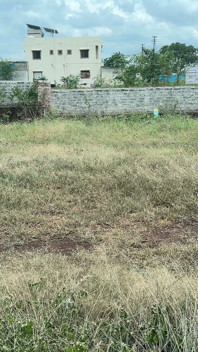 The Salesman Went to Buy a Soft Plot at the Location and Showed Me That Madam Liked It.