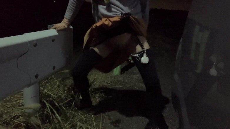 megu2002: Self-training No. 32: Nighttime Walk with the Woof-woof Pose