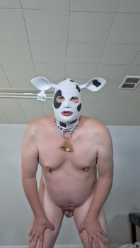 I Need Someone to Milk My Udders